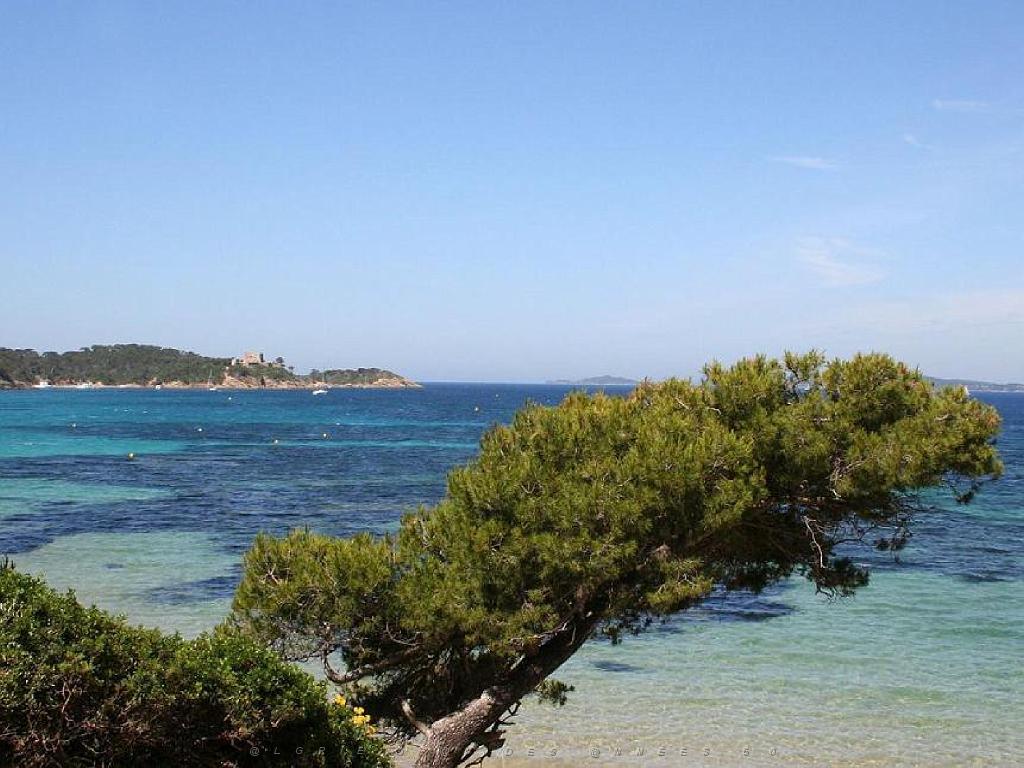 183 ILE DE PORQUEROLLES -4_000022.jpg